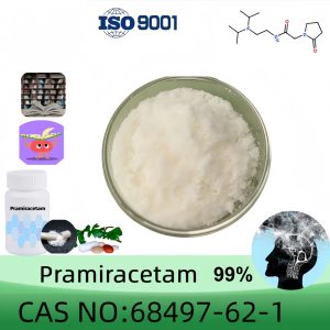 Pramiracetam Powder, Purity 99% Min, 10g/20g, USP Grade, CAS 68497-62-1