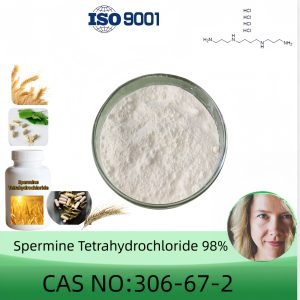 Spermine Tetrahydrochloride Powder (SPT) , Purity 98% Min, 5g/10g/100g, CAS 306-67-2