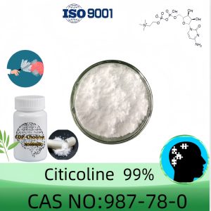 Citicoline (CDP-Choline) Powder, 20g/50g/100g/1000g, CAS 987-78-0