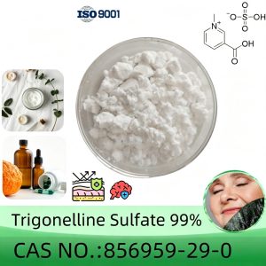 Trigonelline Sulfate Powder, Purity 99% Min, 5g/10g/20g/50g/100g, CAS 856959-29-0