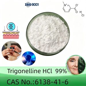 Trigonelline Hydrochloride (Trigonelline HCI) Powder, Purity 99% Min, 5g/10g/20g/50g/100g, CAS 6138-41-6