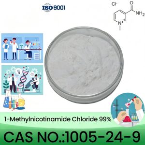 1-Methylnicotinamide Chloride Powder, Purity 99% Min, 5g/10g/20g/50g/100g, CAS 1005-24-9