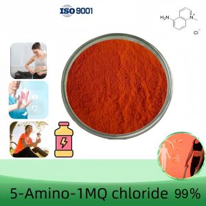 5-Amino-1-methylquinolinium chloride (5-amino-1MQ), Purity 99% Min, 5g/10g/20g