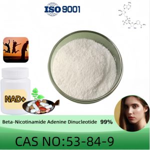 Beta-Nicotinamide Adenine Dinucleotide (NAD+), Purity 99% Min, 10g/20g/100g, CAS 53-84-9